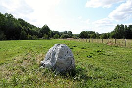 Le menhir du Boisseau.