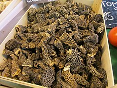 Morilles.