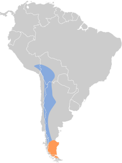 Distribución geográfica de la dormilona canela.