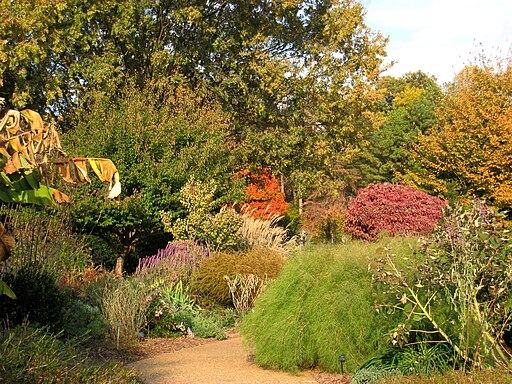 Outdoor view - Atlanta Botanical Garden