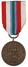 Pamětní medaile 35. pěšího pluku "Foligno"