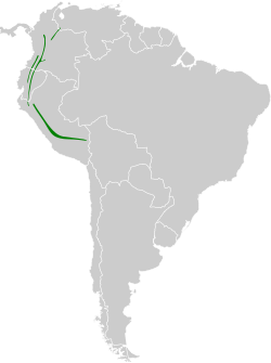 Distribución geográfica del mosquerito cenizo.