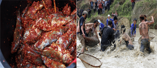 Rice-fish-duck system in China - salted fish - catching fish