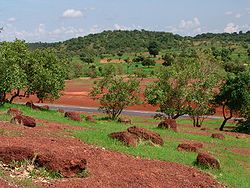 Foresta saheliana sulla strada tra Bamako e Kayes.