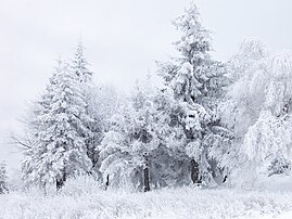 Paysage hivernal du col de Shipka, en Bulgarie. (définition réelle 2 576 × 1 932)