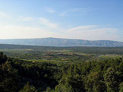 Starigradsko polje hvar.jpg