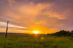 Sunrise over the Agricultural Fields in Pullu Padam