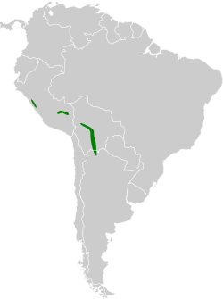 Distribución geográfica del tijeral de Yánac.