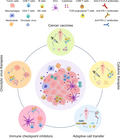 Vignette pour Immunothérapie des cancers