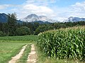 tussen Kranj en Naklo, panorama