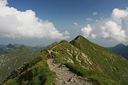 Viștea Mare as seen from Moldoveanu