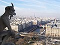 Vista desde Notre Dame