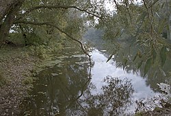 Вожа близ города Рыбное