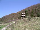 Naturschutzgebiet Sonnebierg