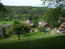 Wengi gegen Jonental