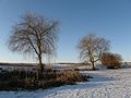 Winterlandschaft in der Ukraine