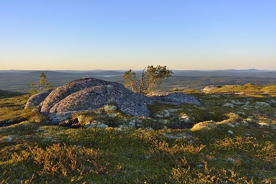 Гора Нуорунен, в природном парке Паанаярви, Республика Карелия. Автор — Andreykokin