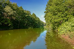 The Borovka River in Buzuluksky Bor National Park, Bogatovsky District