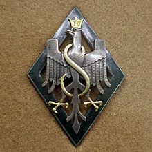 5odznaka 5 Dywizja Syberyjska.jpg