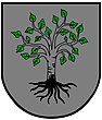 Coat of arms of Birkfeld