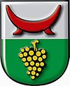 Wappen von Tieschen