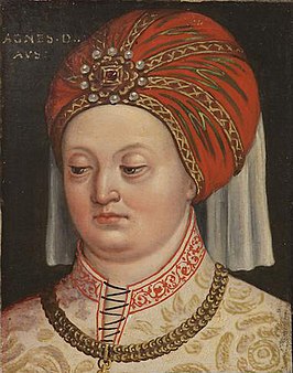 Agnes van Habsburg