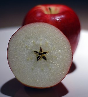 An image of an apple