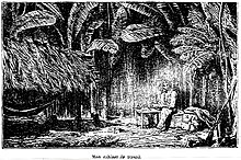 Dessin représentant Armand Reclus assis à sa table de travail en pleine forêt tropicale du Darien.