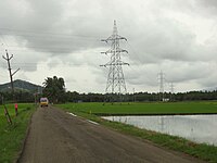 Sawah padi disekitar Ayikudi.