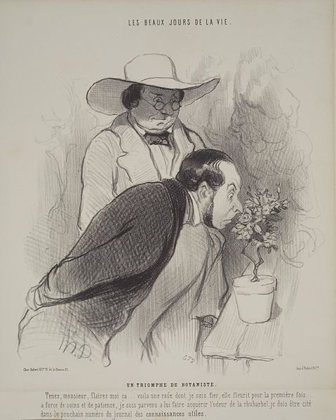 This is an image of a man and a woman inspecting a plant; the man being the botanist. 
