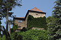 Burg Stauf (Thalmässing)