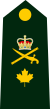 Brigadier General/ Brigadier-général