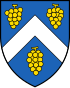 Blason de Chigny