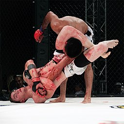 MMA fighter attempts a Triangle-Armbar submission on his opponent. Carnage at the Creek 6 - triangle armbar.jpg