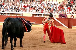 El Juli aux arènes de Bayonne