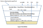 Miniatura para Laguna facultativa