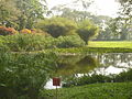 Miniatura para Parque de la Exótica Flora Tropical