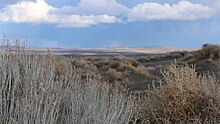 View of sand dunes and vegetation at Fossil Lake, with the Christmas Valley Sand Dunes, Feb. 21, 2017 Fossil Lake (32450598614).jpg