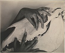 Alfred Stieglitz, Georgia O'Keeffe, Hands and Horse Skull, photograph, 1931 (The Metropolitan Museum of Art)