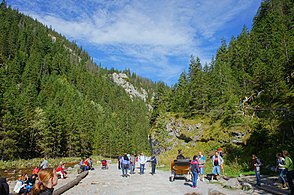 Wanderer im Tal