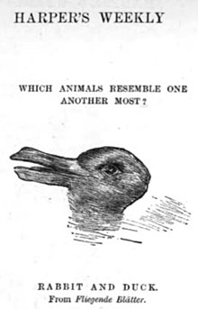 The rabbit-duck illusion is a famous ambiguous image in which a rabbit or a duck can be seen. The earliest known version is an unattributed drawing from the 23 October 1892 issue of Blatter, a German humour magazine. Wikipedia HarpersWeekly1892-36-p1117.jpg