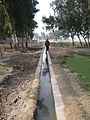 Irrigation canals in Faisalabad