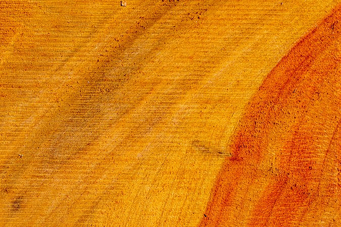 圖為櫻桃木板材的粗鋸表面。