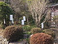 Man'yō gardens（(City Natural Monument)