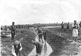 Krychów forced labour camp 1940 (Krowie Bagno).jpg