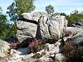 Malgré l'exploitation comme carrière au cours du XIXe siècle, on rencontre encore des blocs de grès façonnés curieusement par la nature.