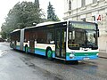MAN Gelenksbus (MAN A23 Lion´s City G) auf der Linie 1