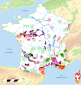 Carte unique des vignobles de France. Avec un peu de travail en plus elle peut accueillir toutes les cartes, villes, légendes régionales et servir de lieu de travail unique si tel est le souhait.