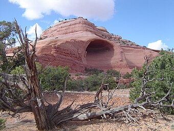 Alcove in the Navajo Sandstone
