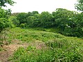 Cuff Holm - site of the murder of a Boyd by a Montfode.